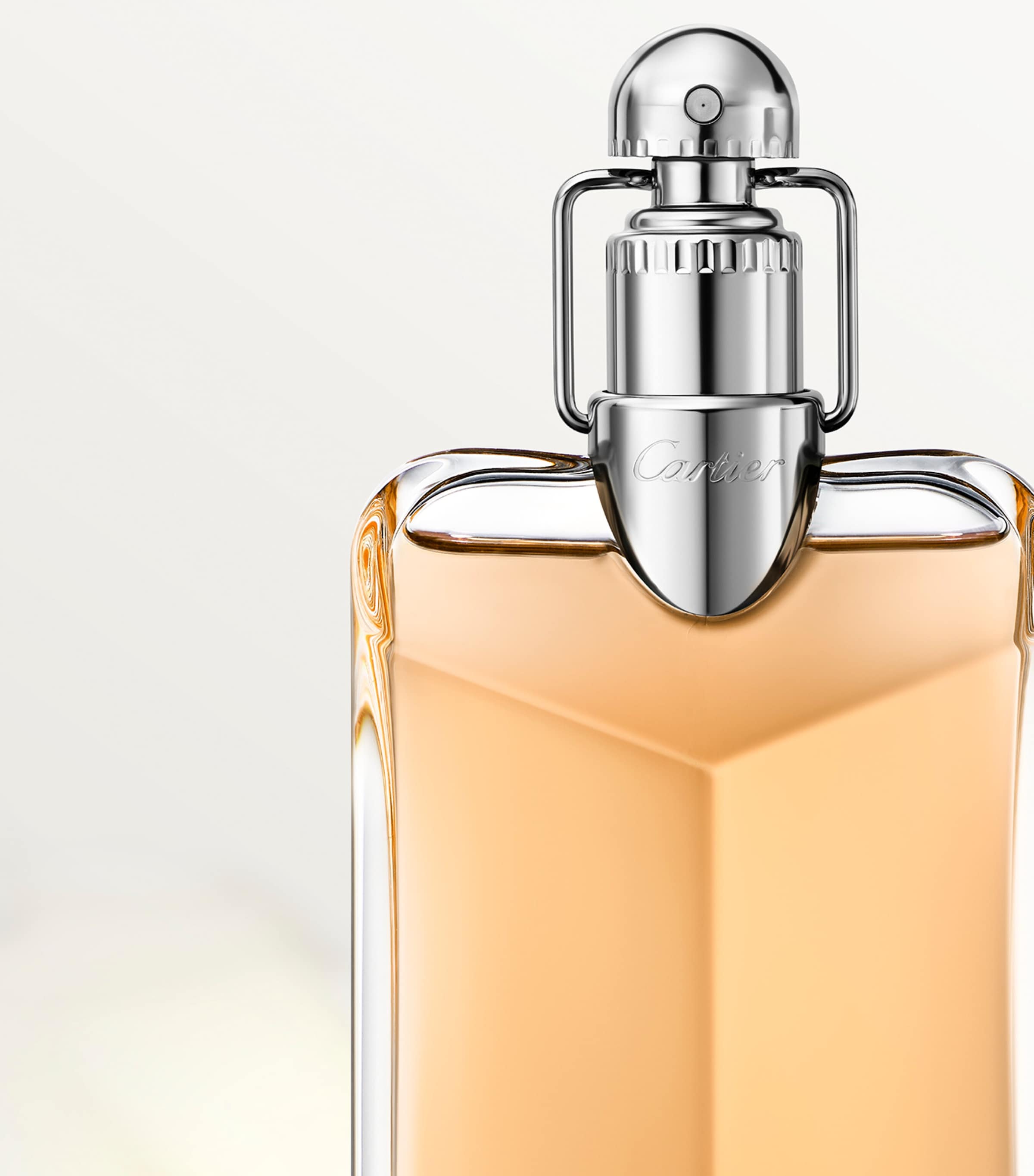 Déclaration Parfum (100ml) NO COLOUR Image 2