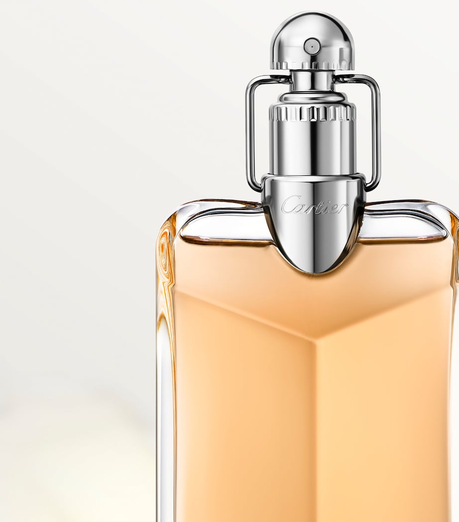 Déclaration Parfum (100ml) NO COLOUR Image 2