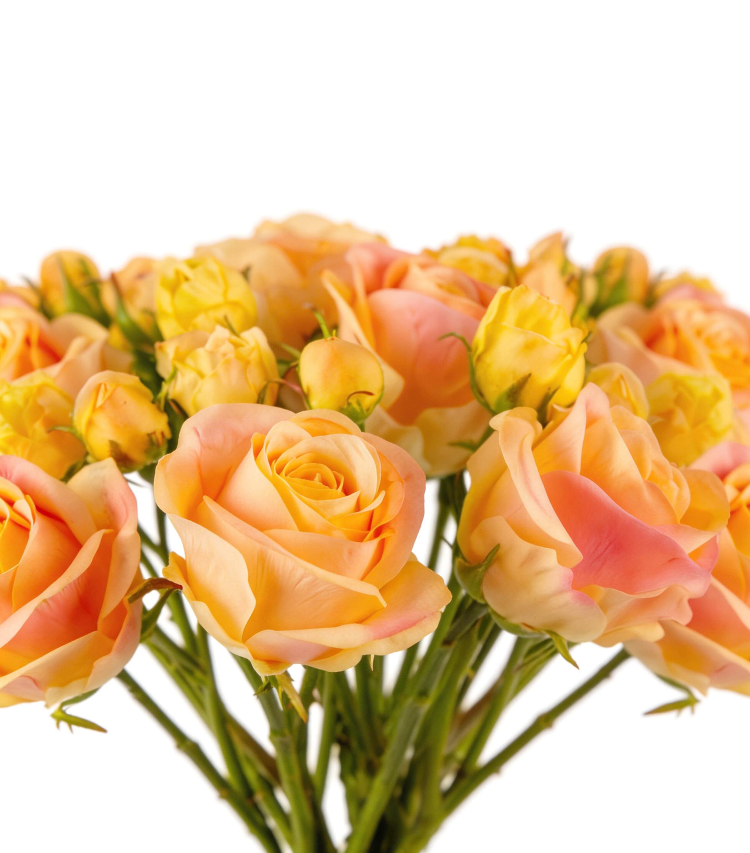 Silk-ka Artificial Rose Flower Bouquet Yellow Image 6