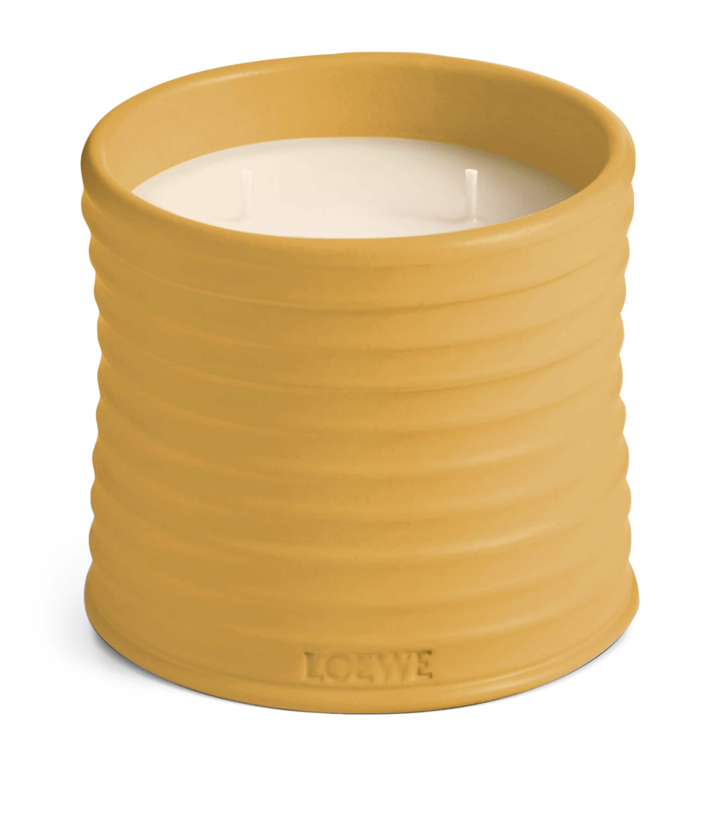 LOEWE Medium Wasabi Candle (610g) Image 1