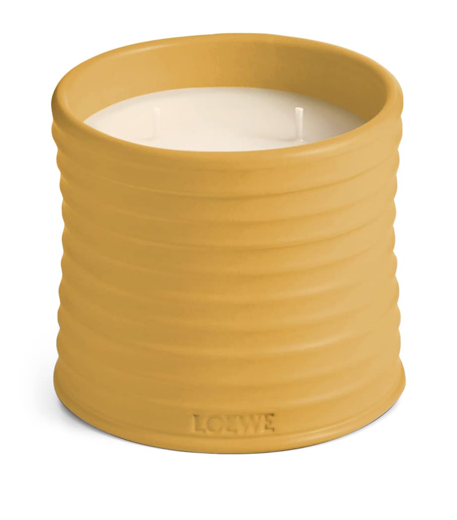 LOEWE Medium Wasabi Candle (610g) Image 1