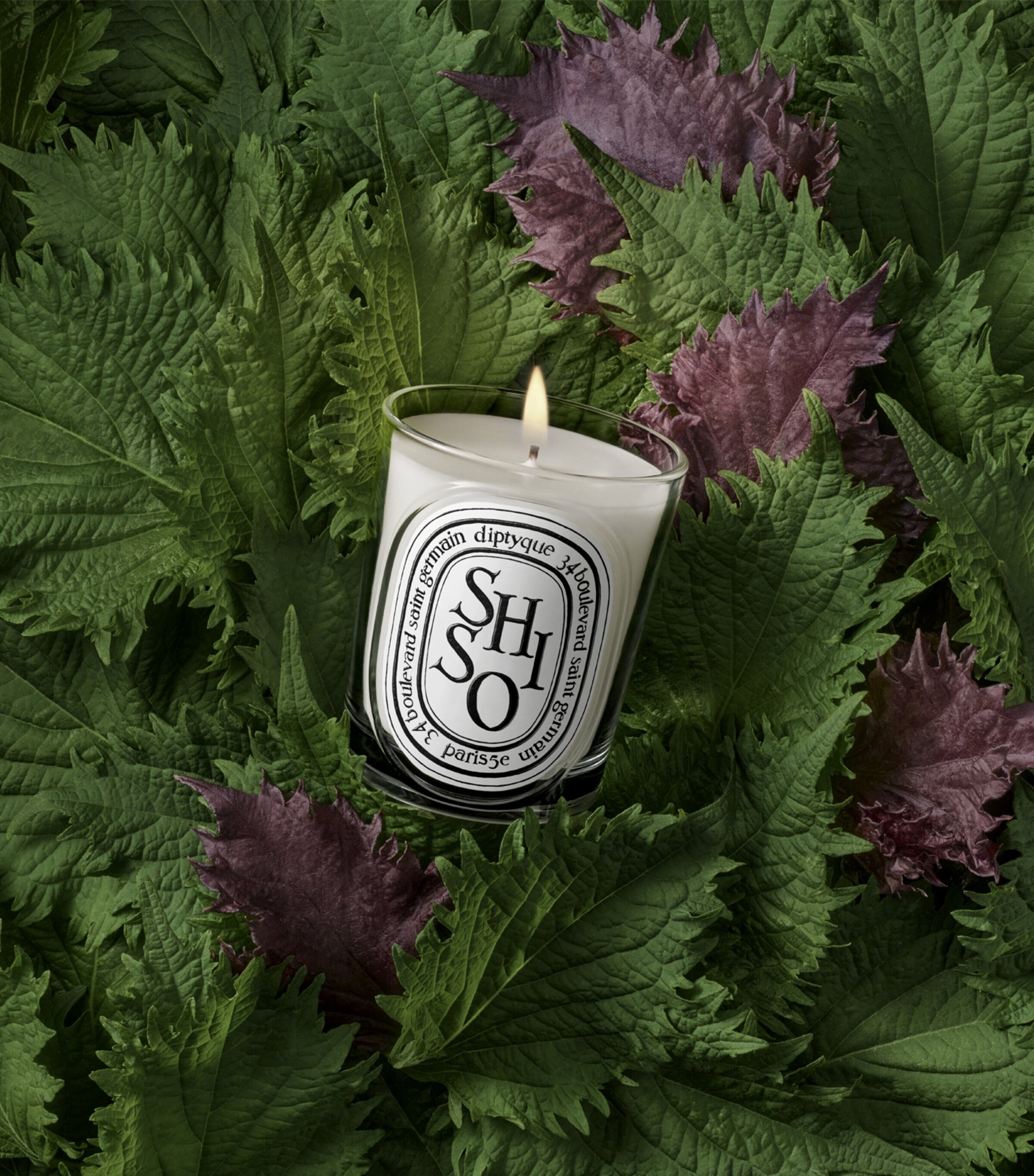 Diptyque scented candle 190g 2個セット Diptyque Shiso Candle (190g) | Harrods CA