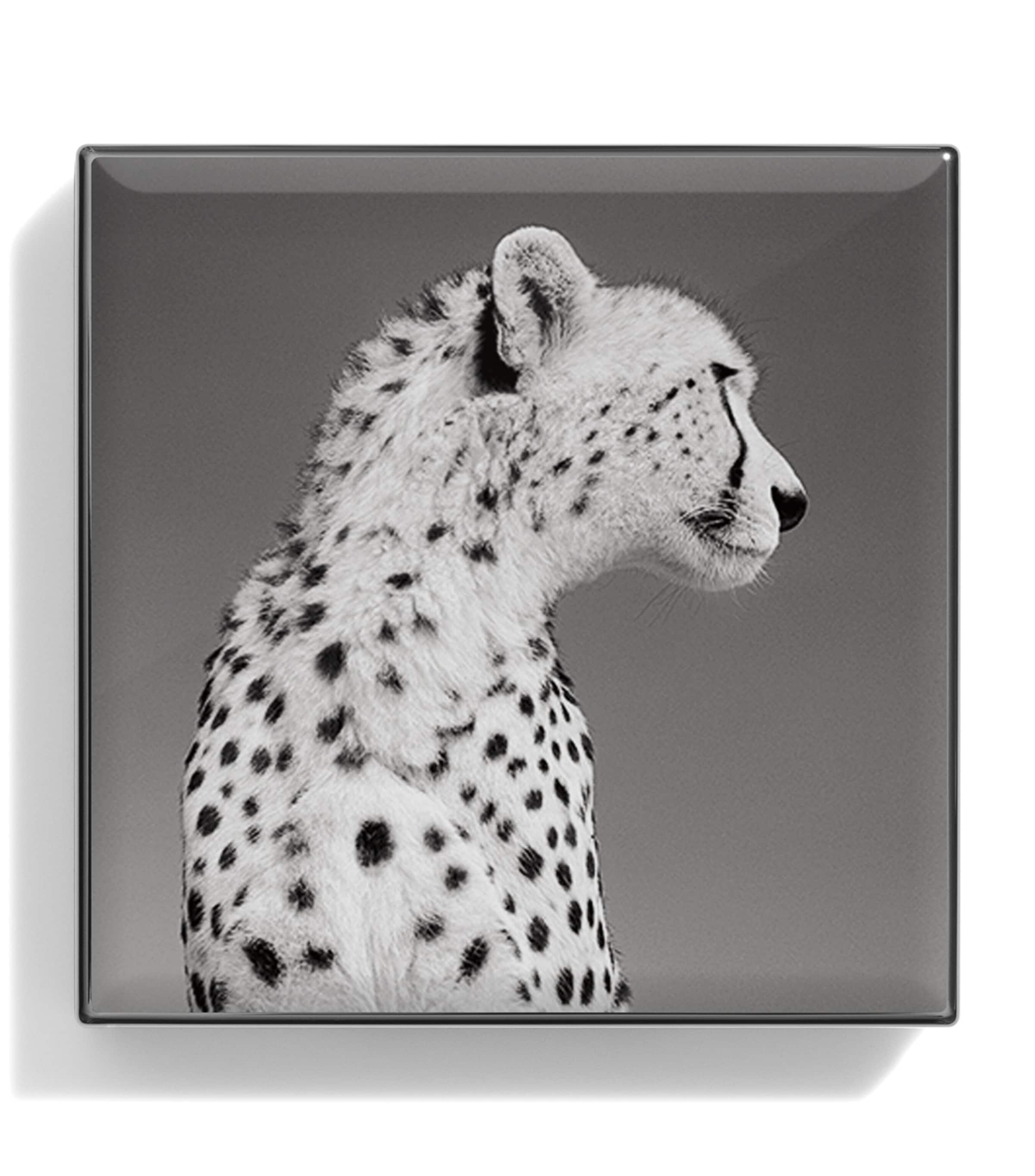 Cheetah Luminous Eye Shade CHEETAH Image 2