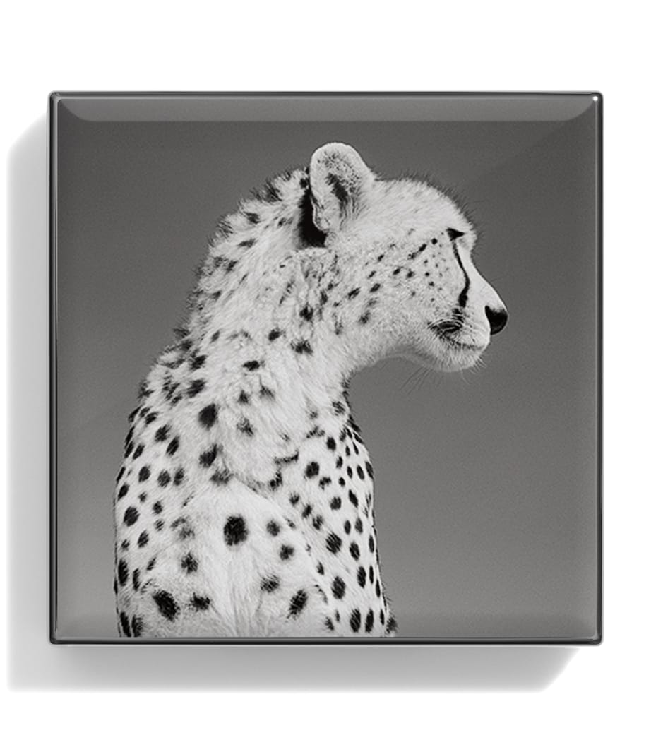 Cheetah Luminous Eye Shade CHEETAH Image 2