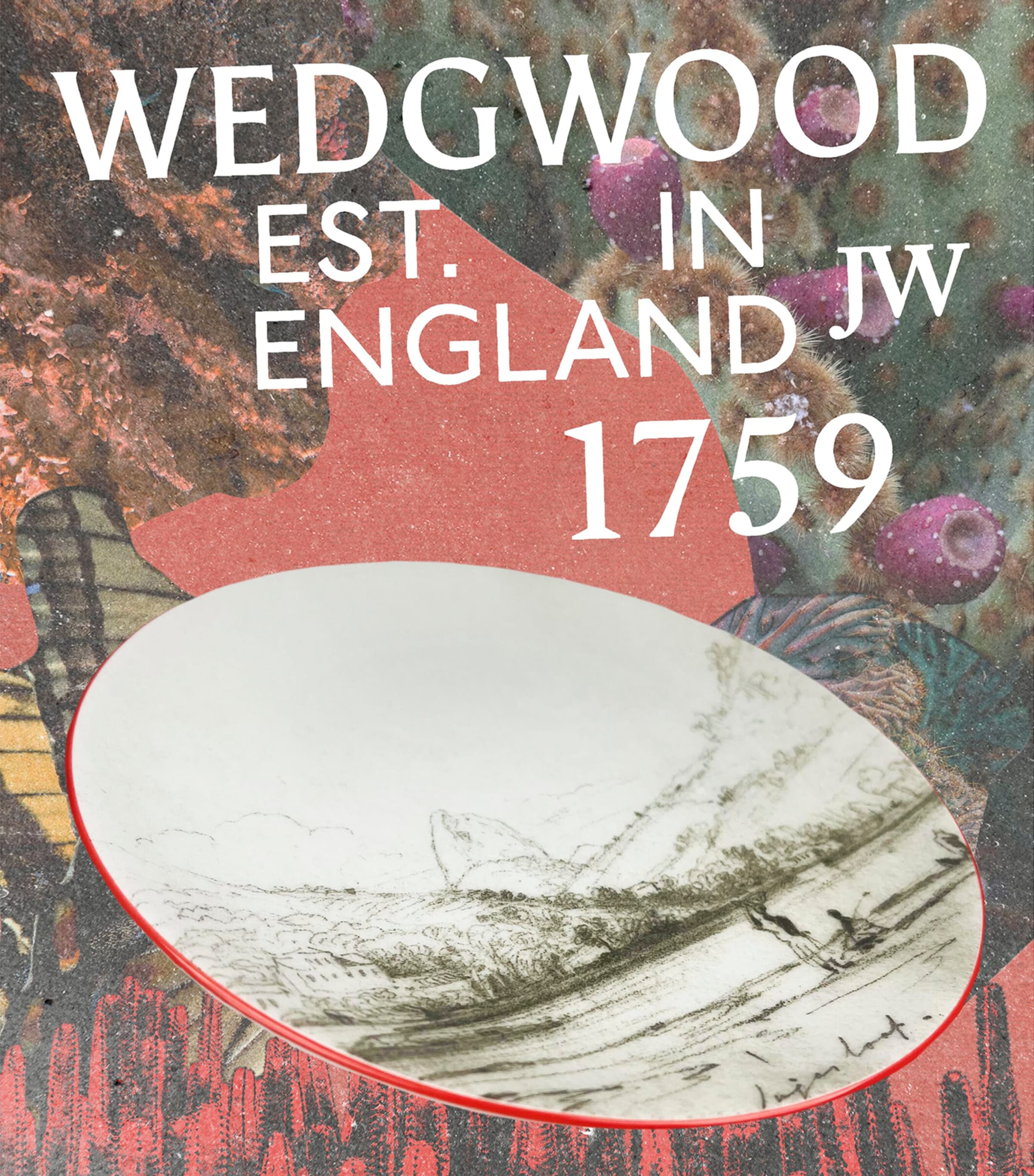 Wedgwood Voyage of the Beagle Brazil Plate, Teacup and Saucer Set Image 2