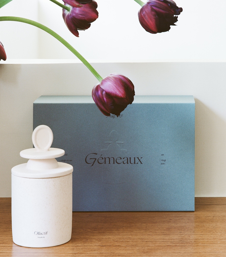 Gemini Wild Berries Candle (240g) WHITE Image 4