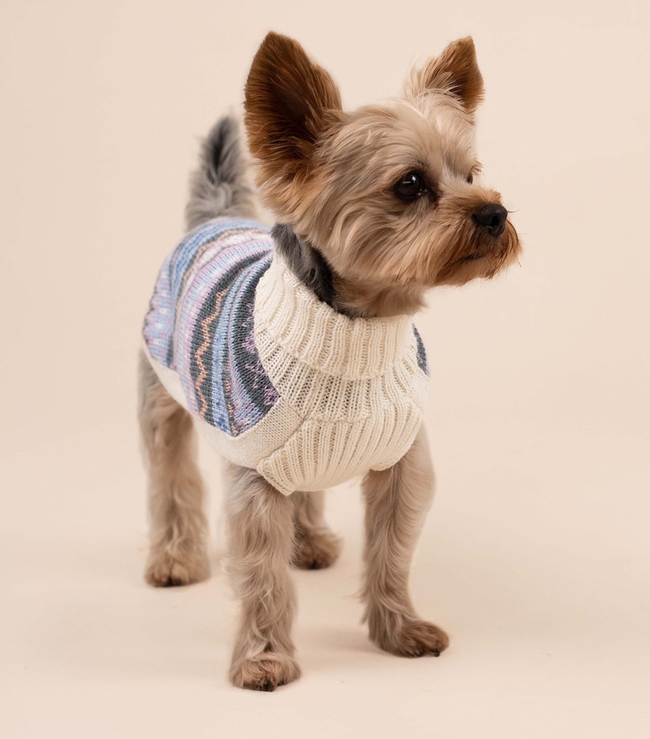 ALQO WASI Alpaca-Blend Cloudform Dog Sweater (XX-Small) Cloudform Image 7