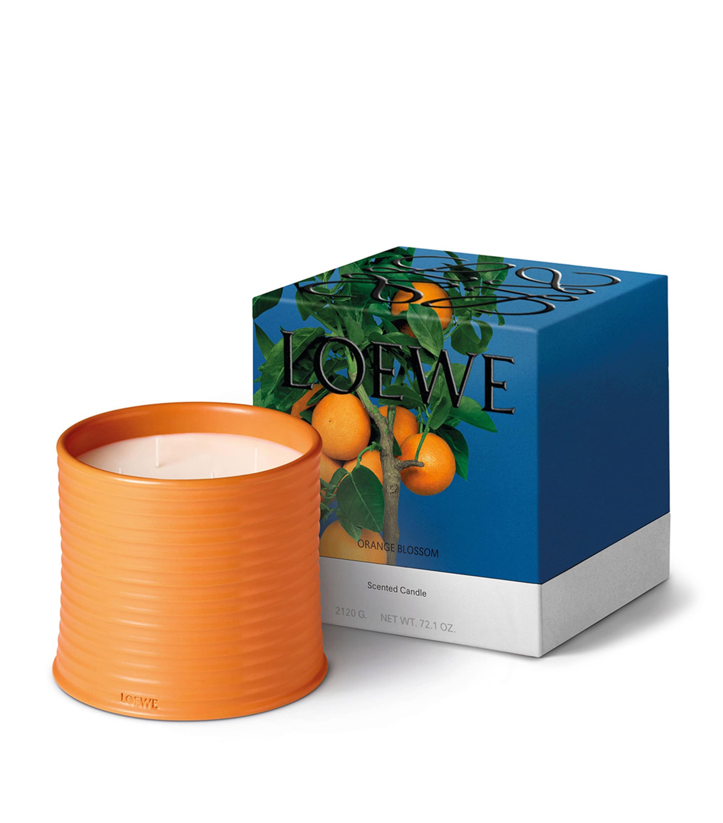 Large Orange Blossom Candle (4.85kg) NO COLOUR Image 2