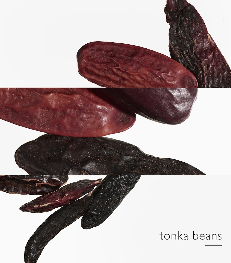 L'Ombre Des Merveilles Eau de Parfum (100ml) NO COLOUR Image 5