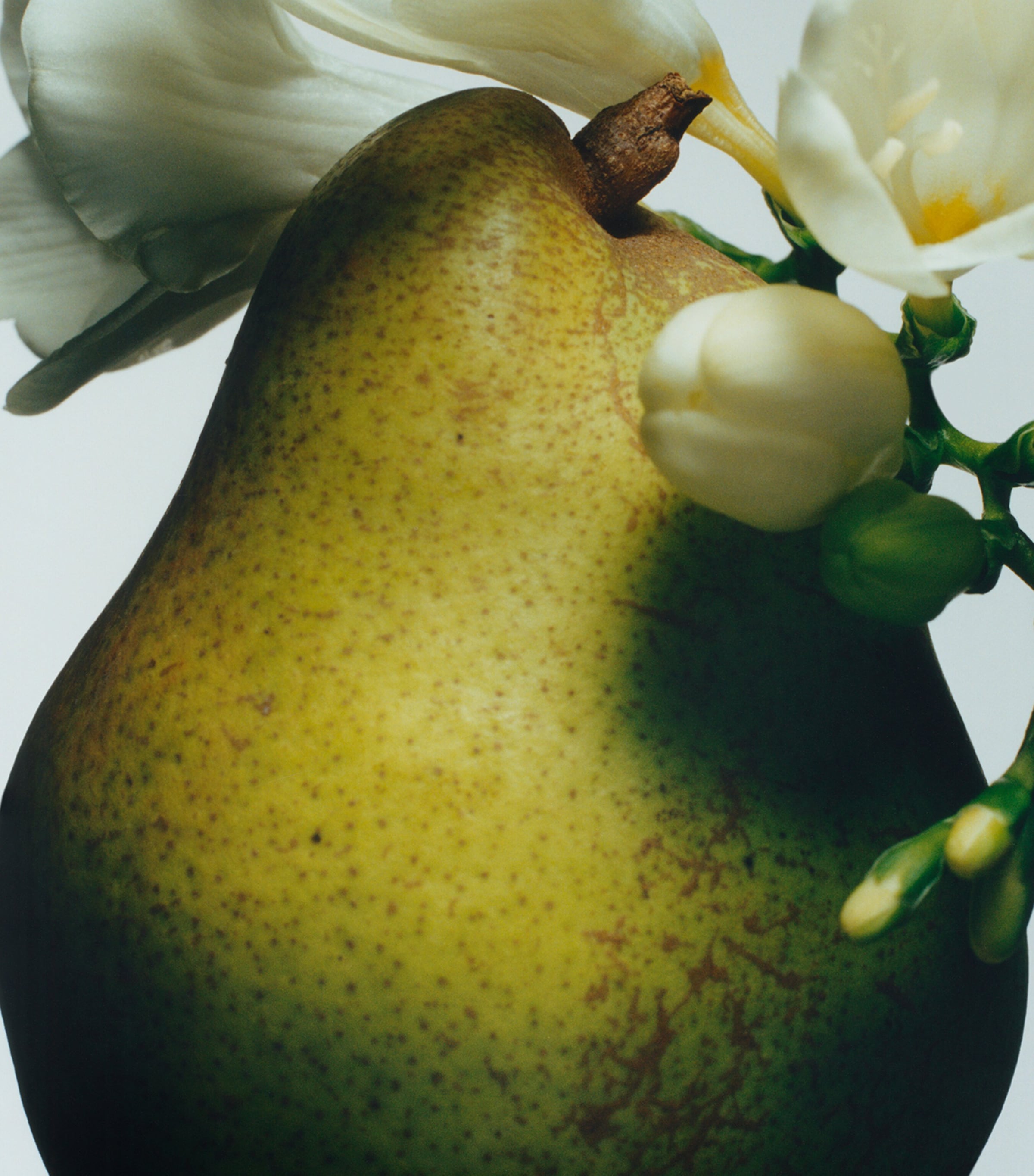 Jo Malone London English Pear & Freesia Luxury Candle (2.1kg) Image 3