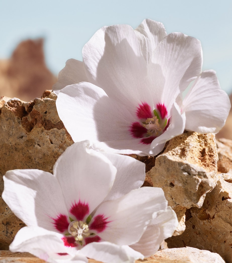 K Elixir (50ml) NO COLOUR Image 6