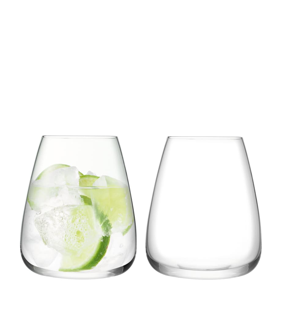 Set of 2 Wine Culture Water Glasses (590ml) CLEAR Image 1
