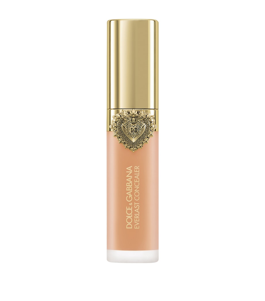 Everlast Concealer 17MEDIUM Image 2