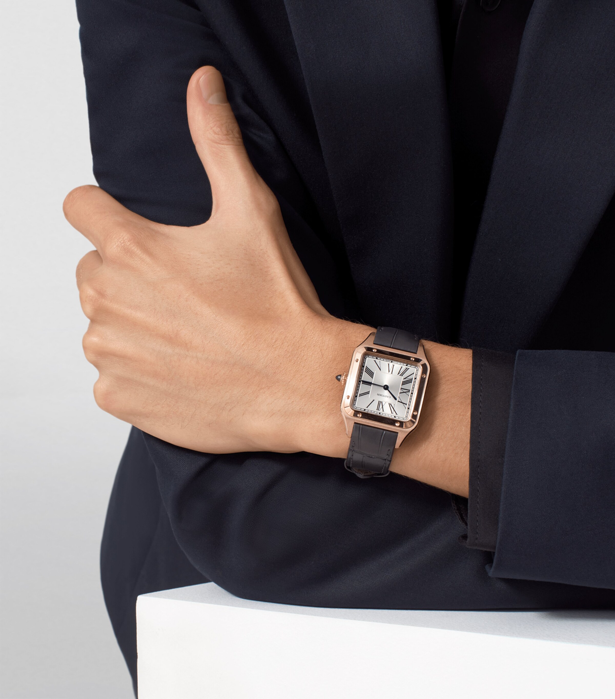 Rose Gold Santos-Dumont Watch 31.4mm GREY Image 10