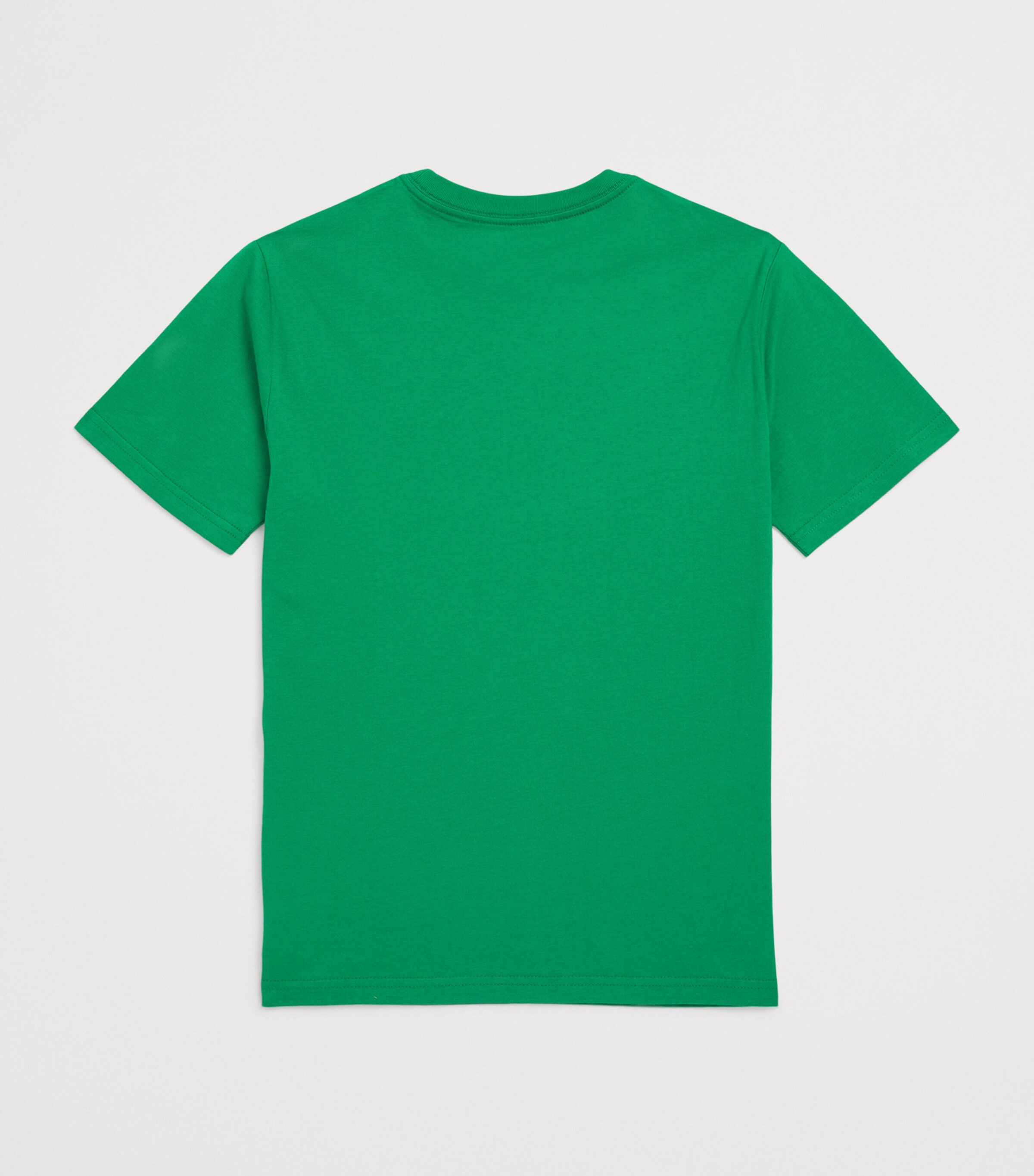 Logo Embroidered T-Shirt (6-14 Years) GREEN Image 2
