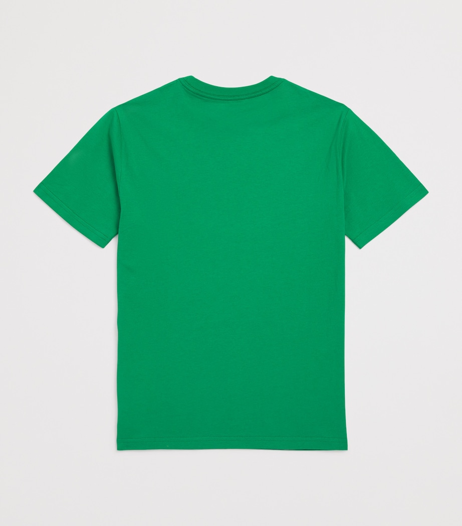 Cotton Polo Pony T-Shirt (2-7 Years) GREEN Image 2