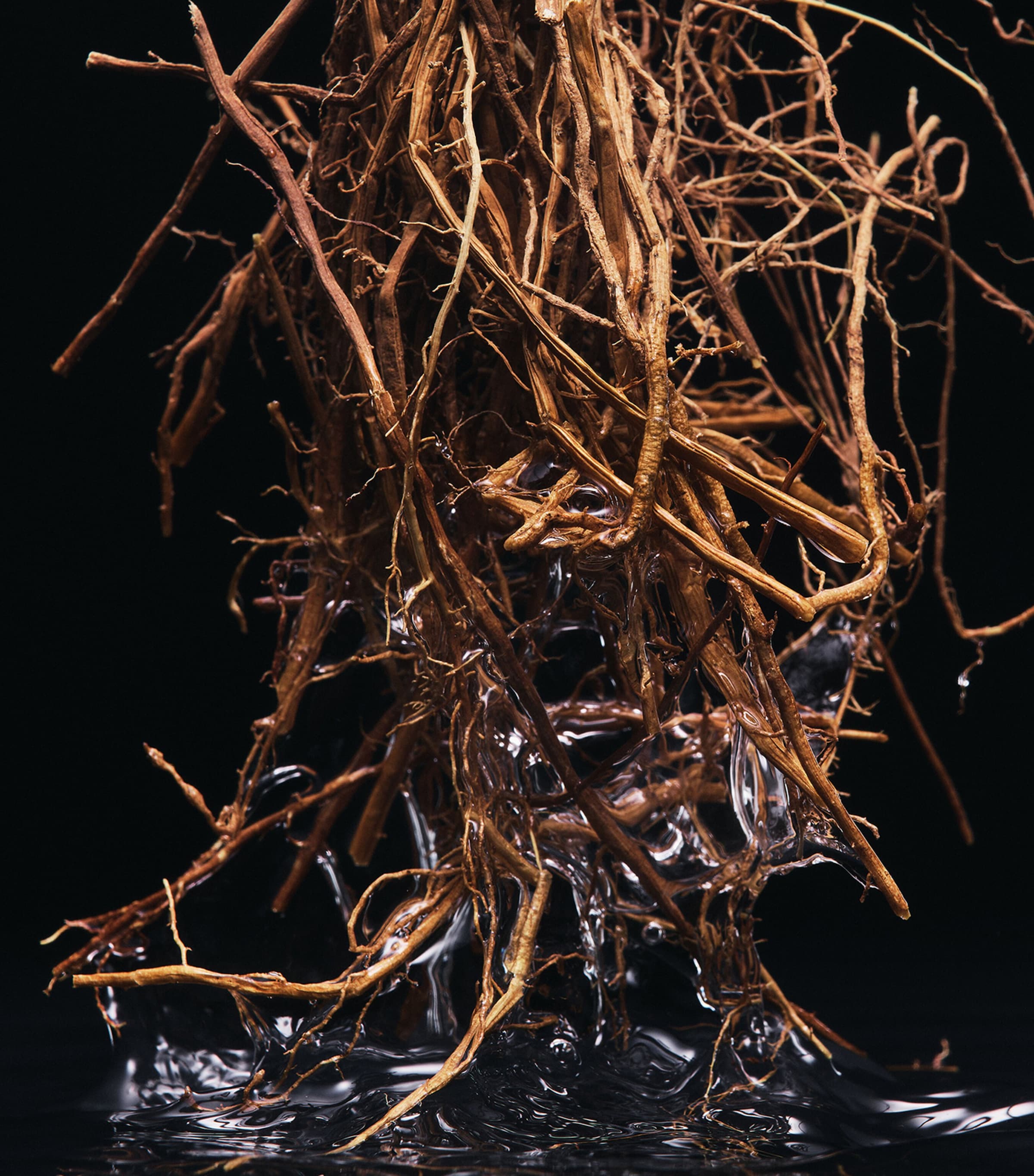 Velvet Vetiver Eau de Parfum (100ml) NO COLOUR Image 4