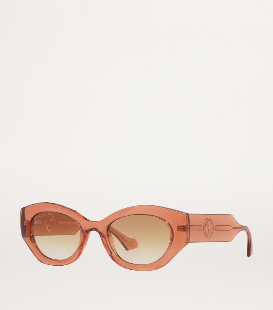 Injected Oval Sunglasses 1800D1 Image 2