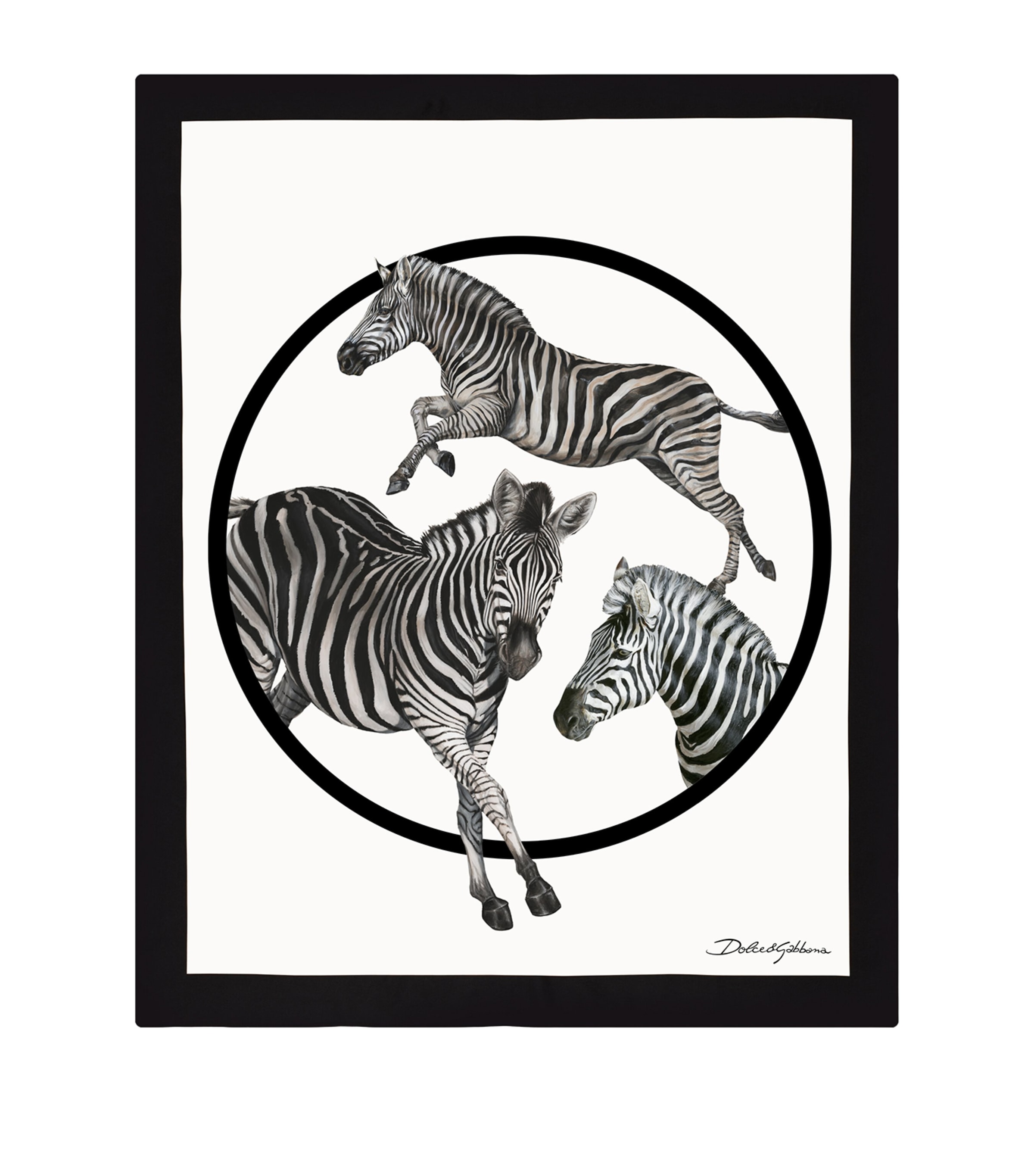Dolce & Gabbana Silk-wool Zebra Throw