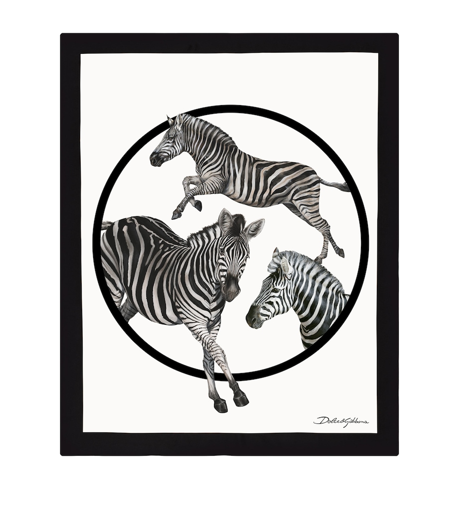 Silk-Wool Zebra Throw (140cm x 180cm) UZ006 ZEBRE F DO BIA Image 1