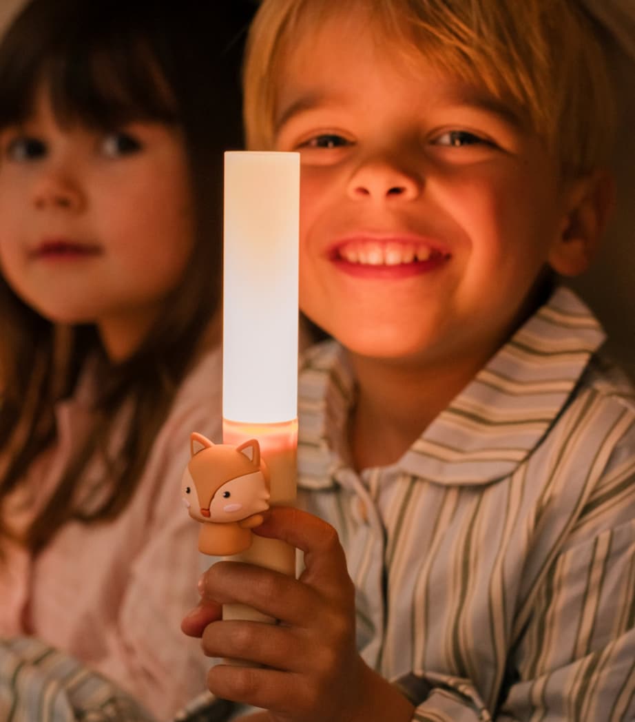 Zoo Light Fox MULTI Image 7