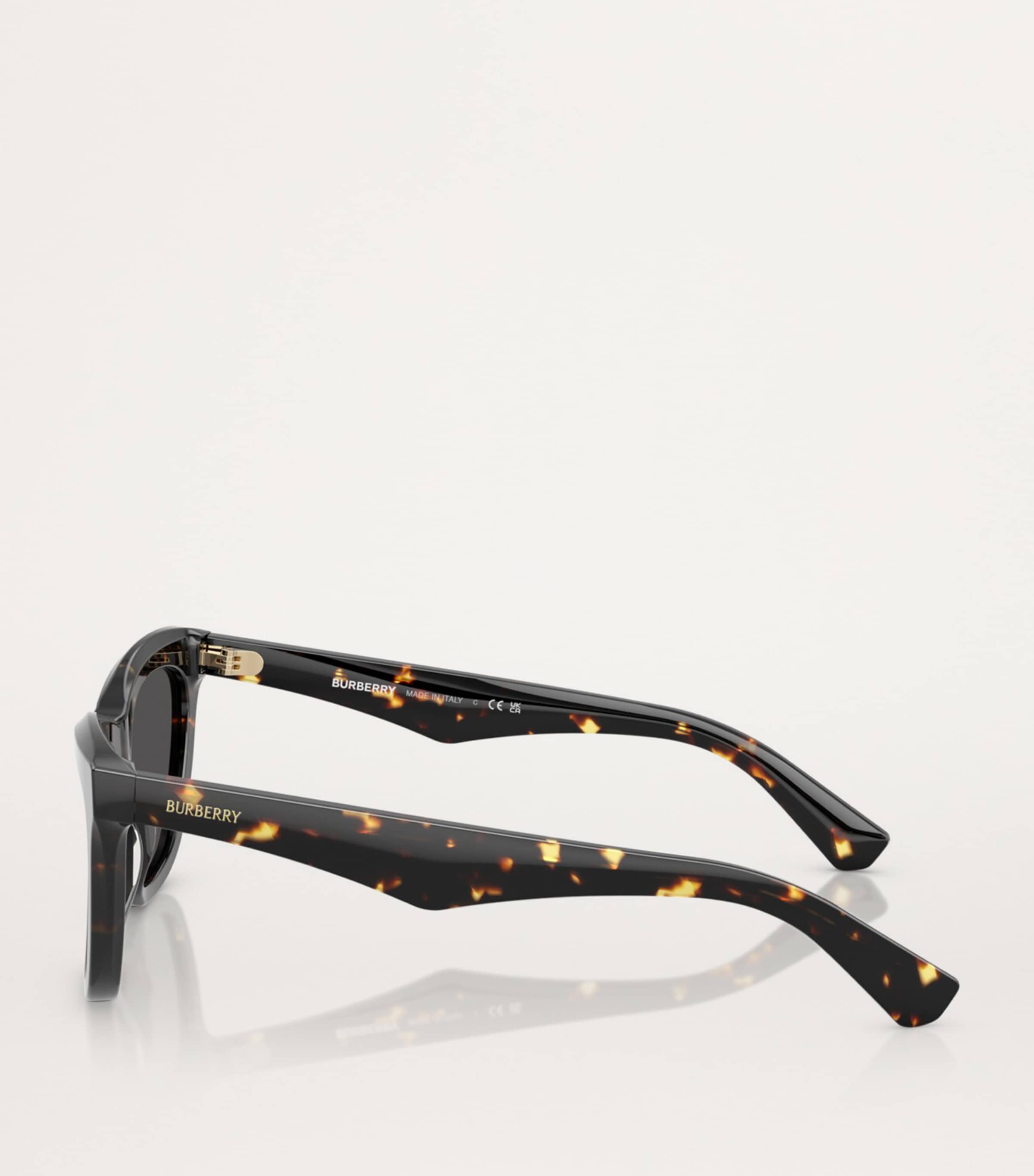 Acetate Wayfarer Sunglasses 410687 Image 3