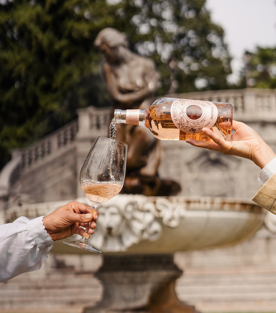 11 Minutes Rosé 2024 (75cl) - Lake Garda, Italy PINK Image 3