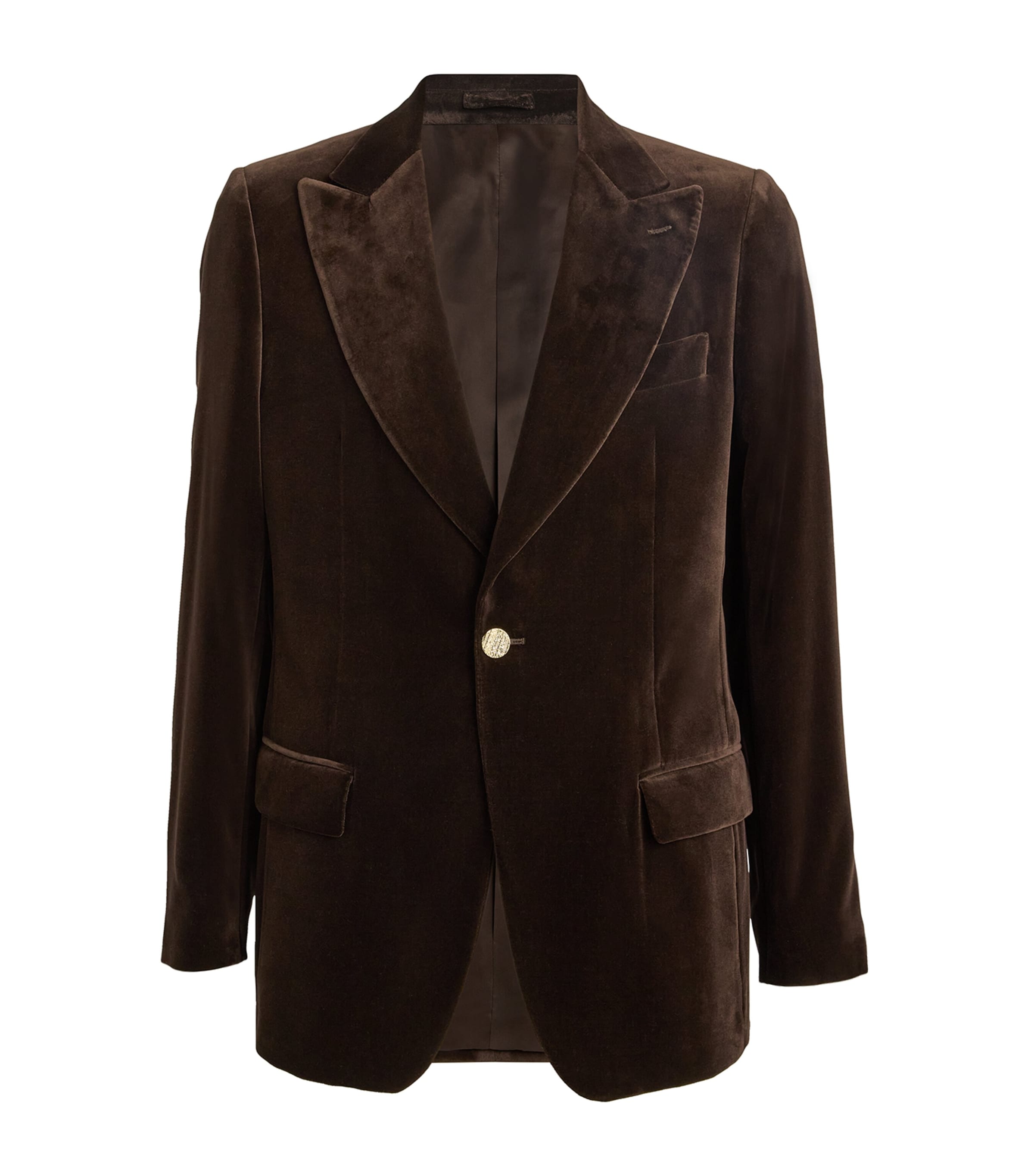 Shop Lardini Velvet Single-breasted Blazer In Brown