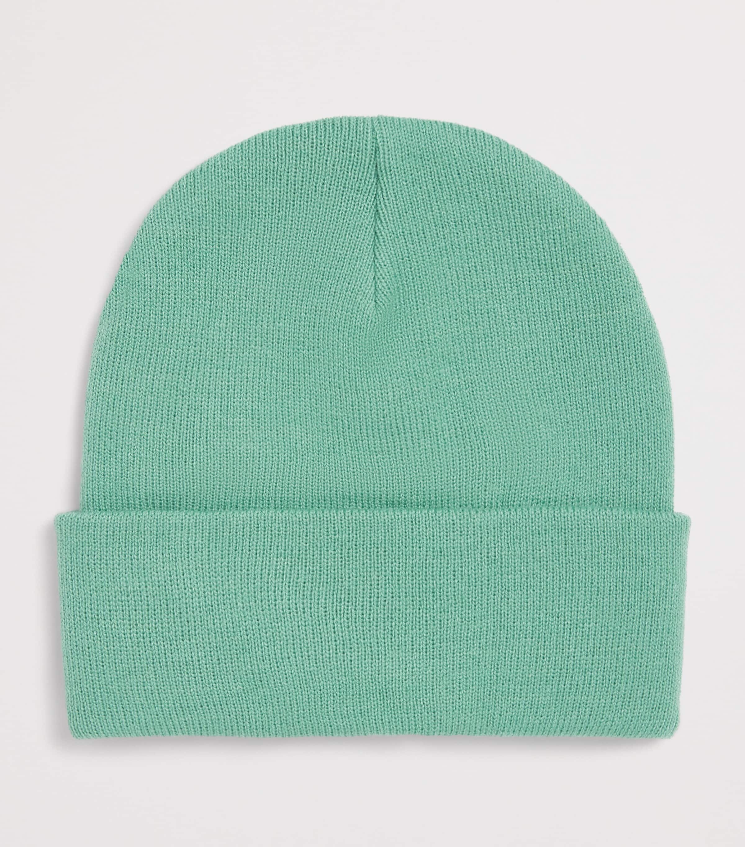 Roarsome Logo-Patch Beanie Green Image 2