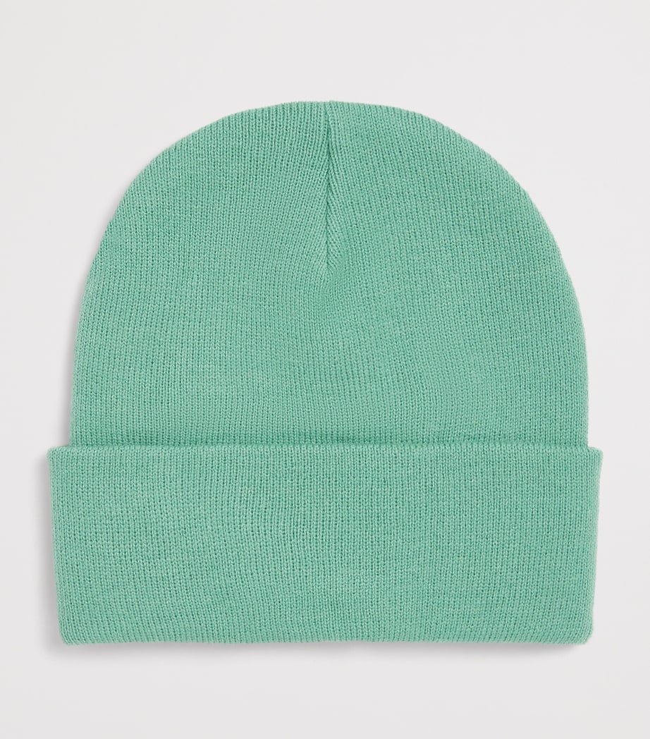Roarsome Logo-Patch Beanie Green Image 2