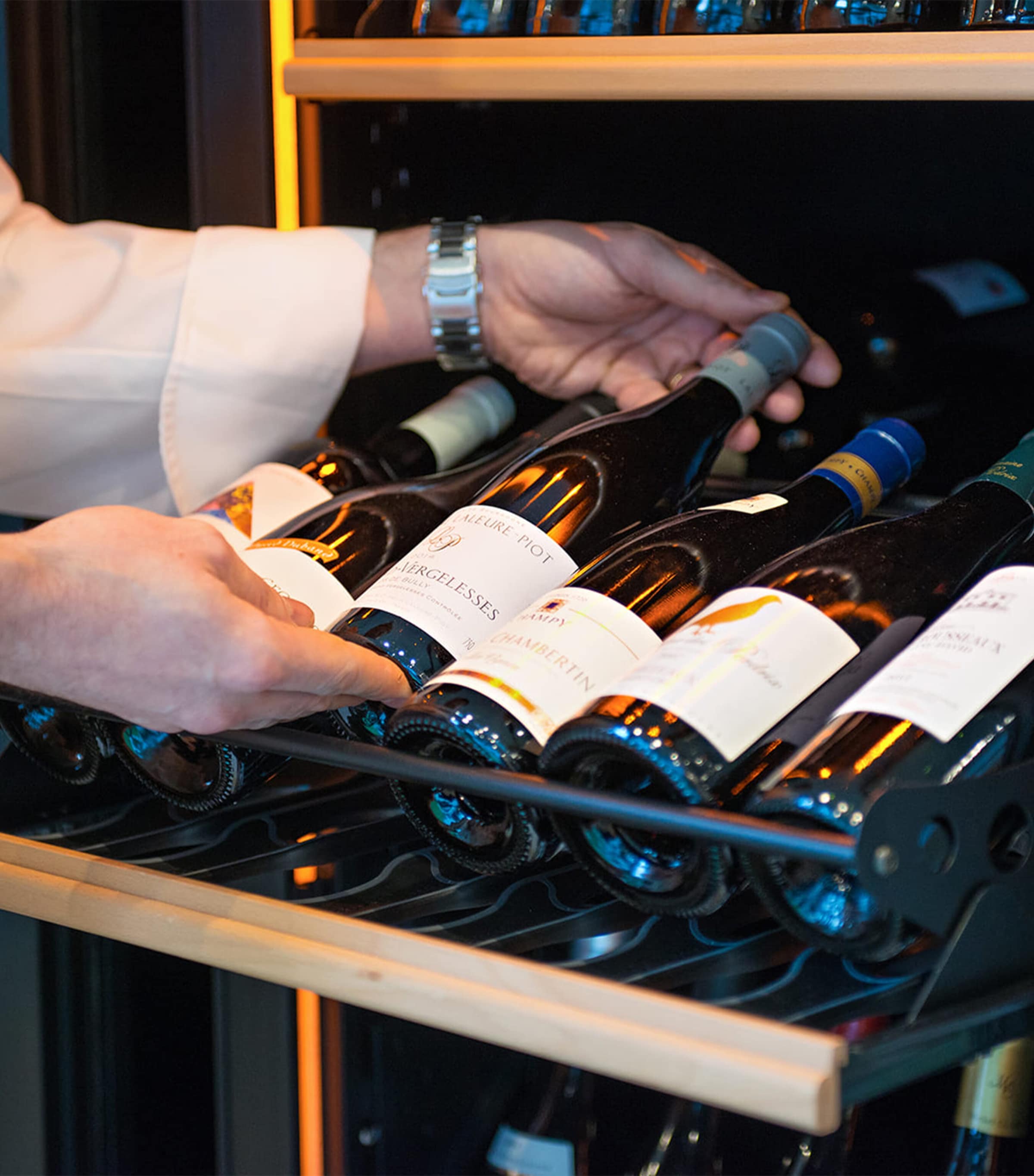 Large Single-Temperature Free-Standing Pure Wine Cabinet NO COLOUR Image 5