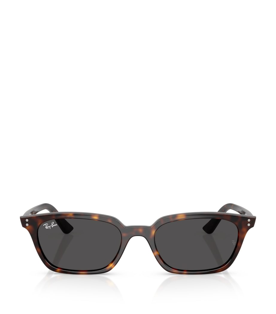 RB4456 Zaya Bio-Based Sunglasses 135987 Image 1