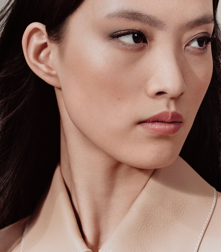 Ombres d'Hermès Eyeshadow Quartet 05 OMBRES FUMEES Image 8