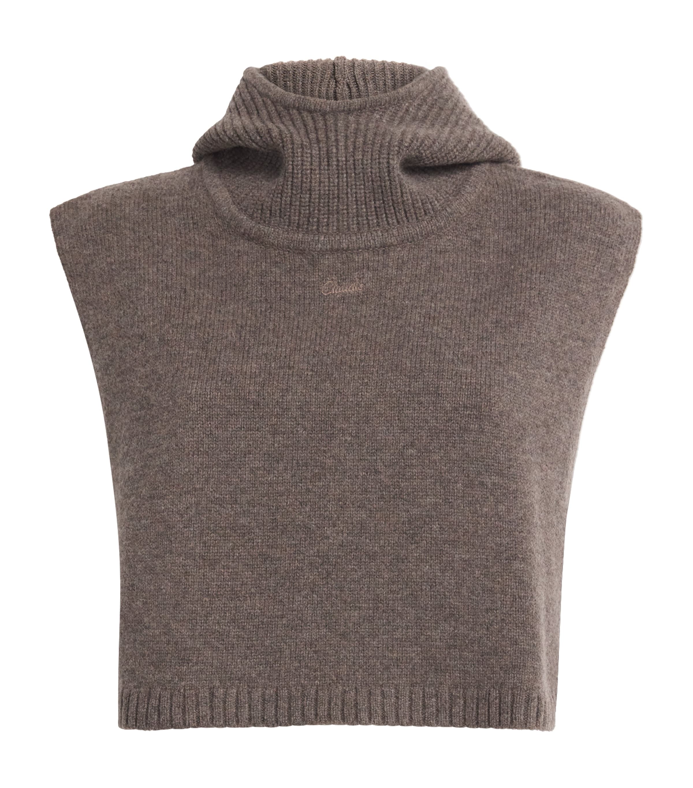 Claudie Pierlot Wool Hooded Sweater Collar In Brown