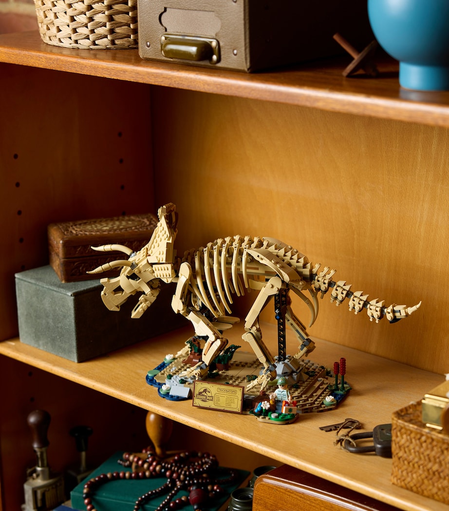 Lego Jurassic World Dinosaur Fossils: Triceratops 77985 Image 6