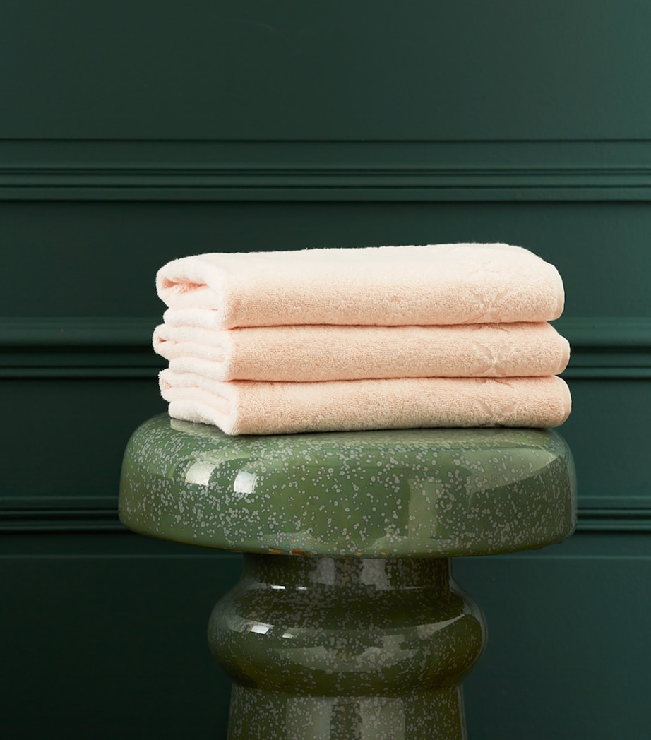 Yves Delorme Nature Hand Towel (55cm x 100cm) Poudre Image 1