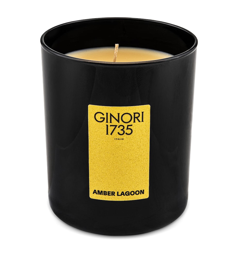 Amber Lagoon Candle (350g) MULTI Image 1