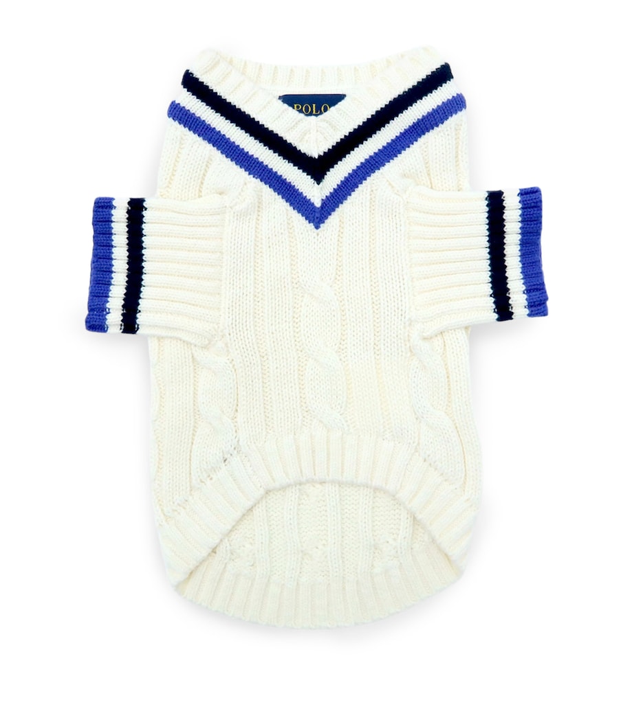Cotton Cricket Dog Sweater (Extra Small) ANDOVER CREAM Image 1