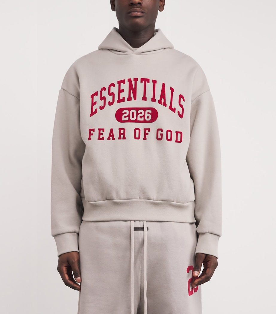 Varsity Logo Hoodie SMOKE GREY Image 3