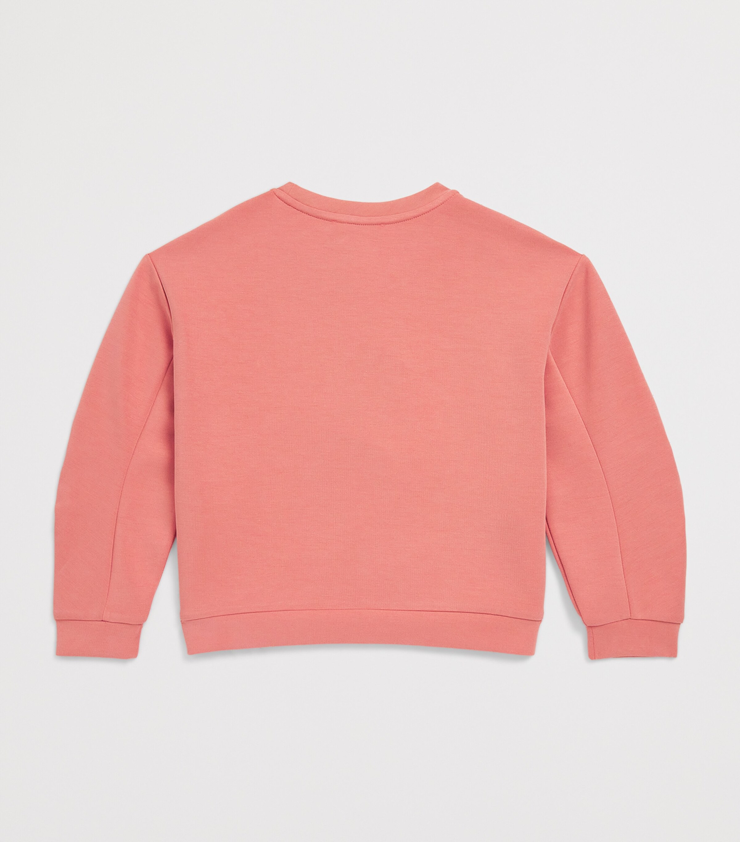 Jersey Logo Sweatshirt (4-14 Years) CANYON CLAY Image 2