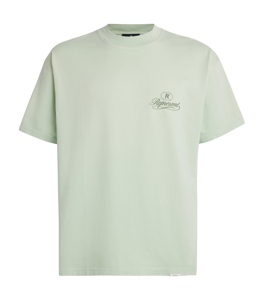 Cotton Grand Vintage T-Shirt WASHED SAGE Image 1
