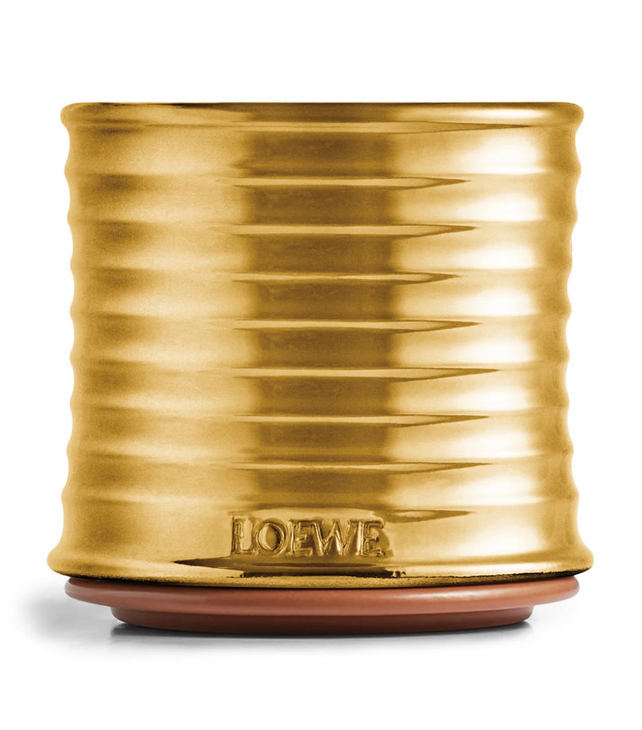 LOEWE Perfumes Midi Terracotta Candle Lid Image 6