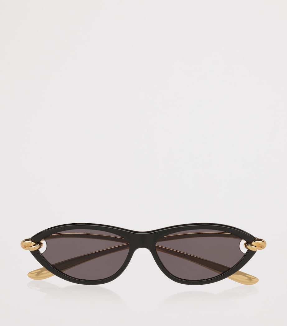 Cat Eye Sunglasses 1100L1 Image 4