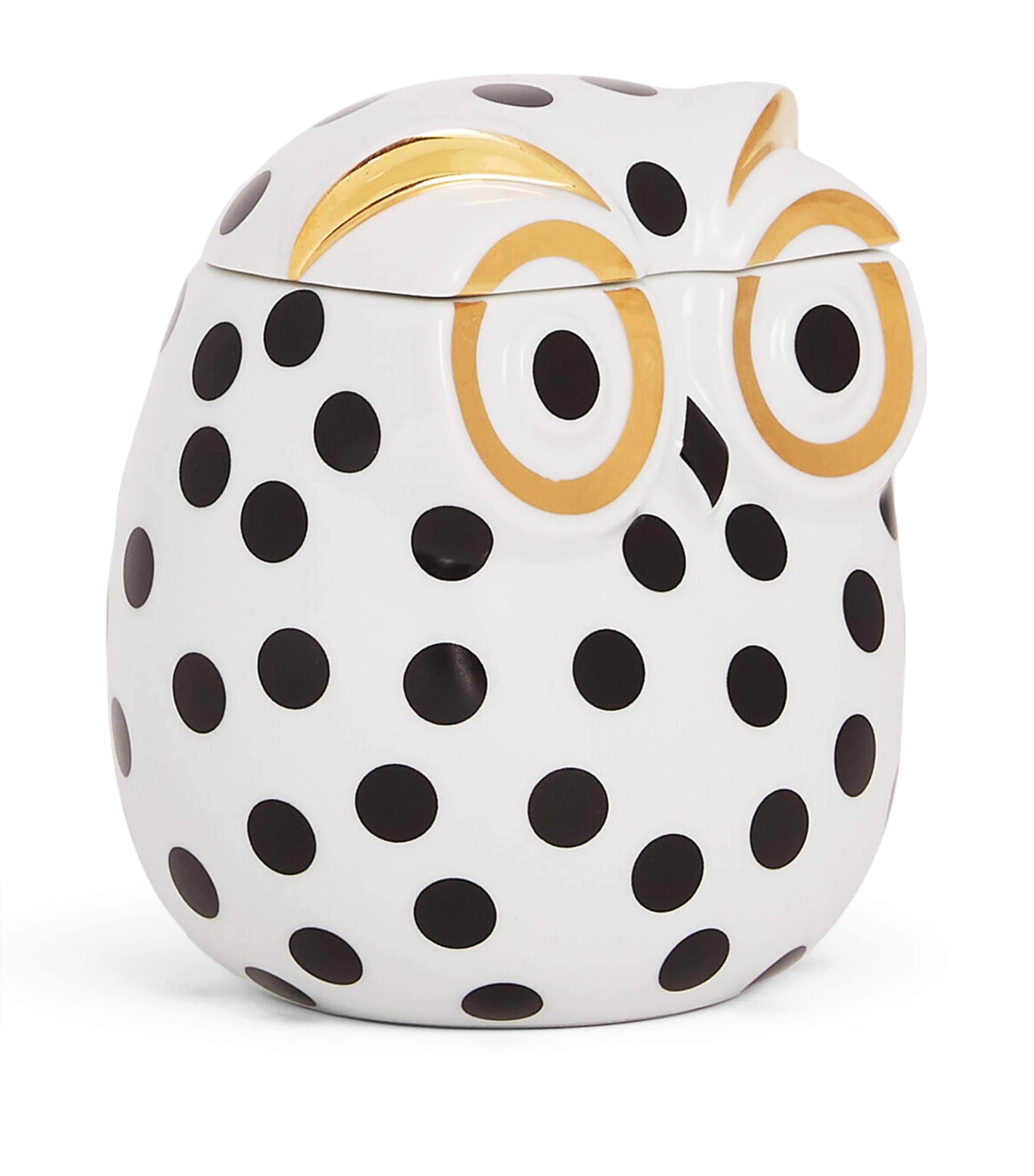 Civetta Impallinata Jar MULTI Image 2