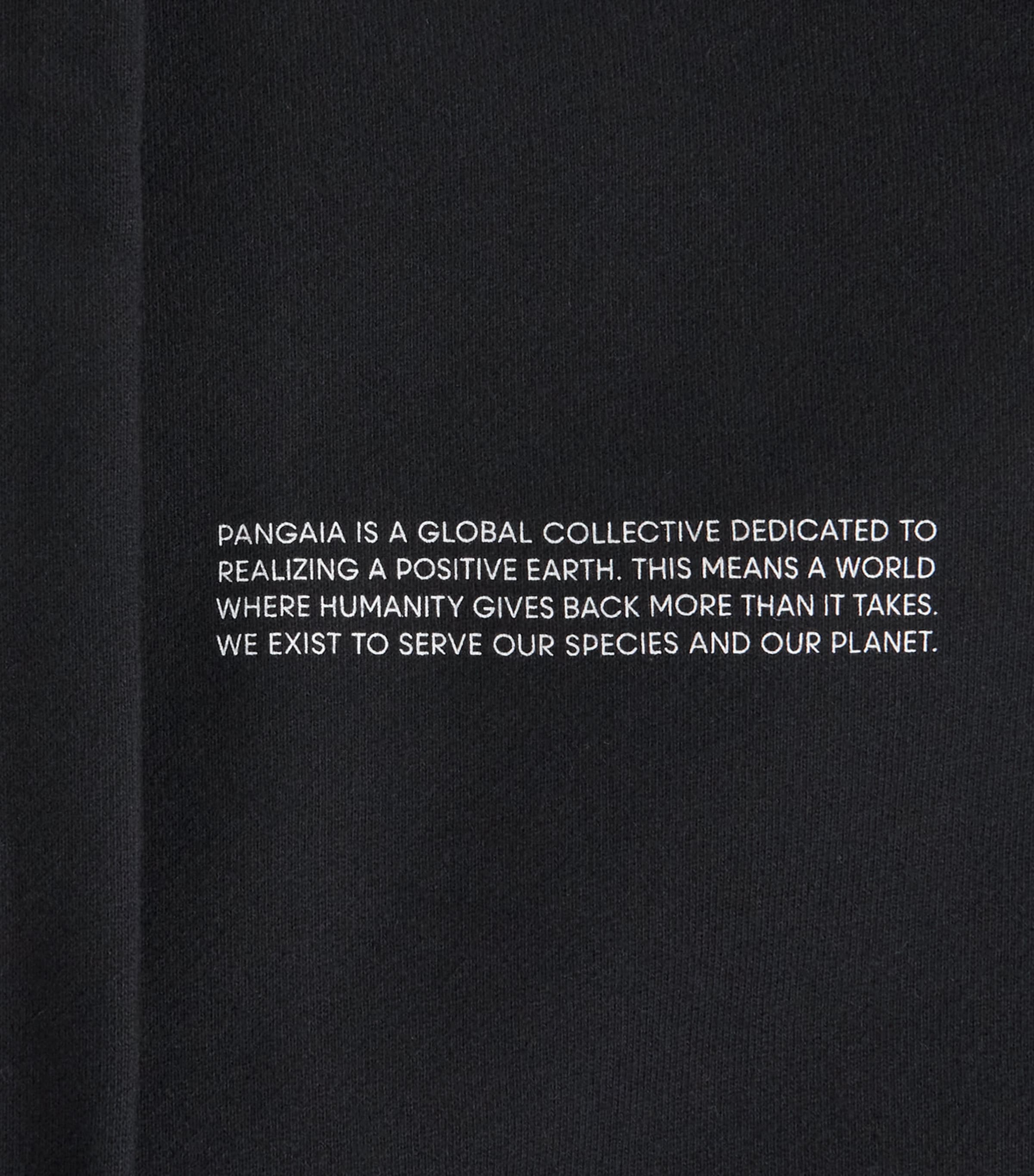 Pangaia Womens Organic Cotton 365 Hoodie Image 2