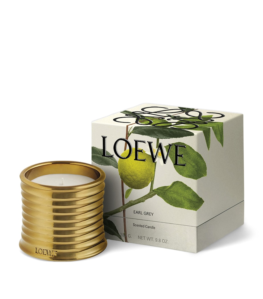 Earl Grey Scented Candle NO COLOUR Image 2