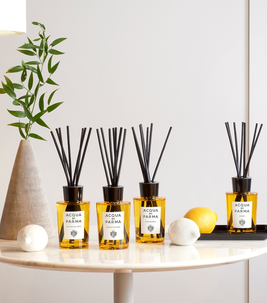 Insieme Diffuser (180ml) NO COLOUR Image 6