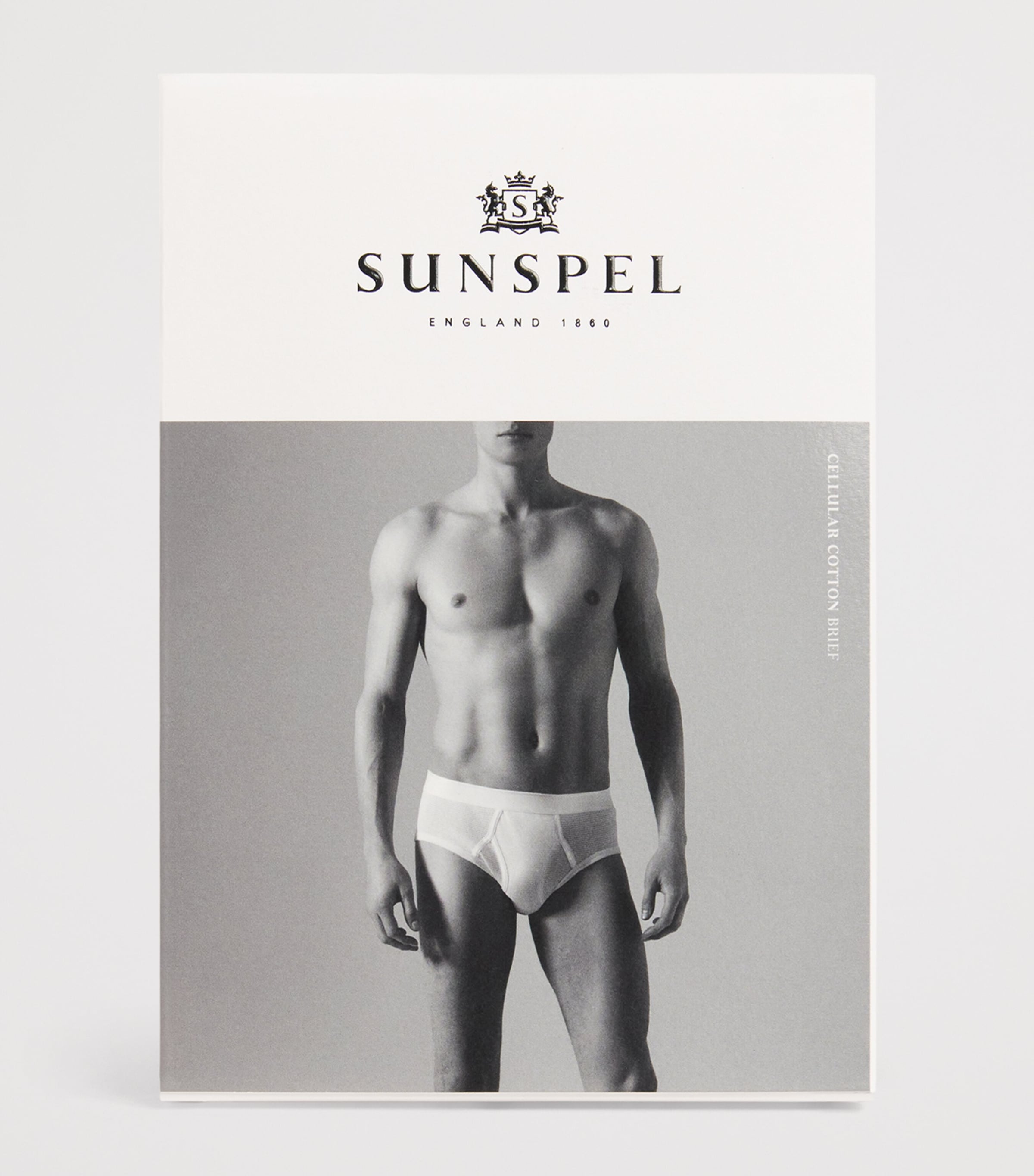 Cotton Mesh Cellular Briefs WHITE Image 4