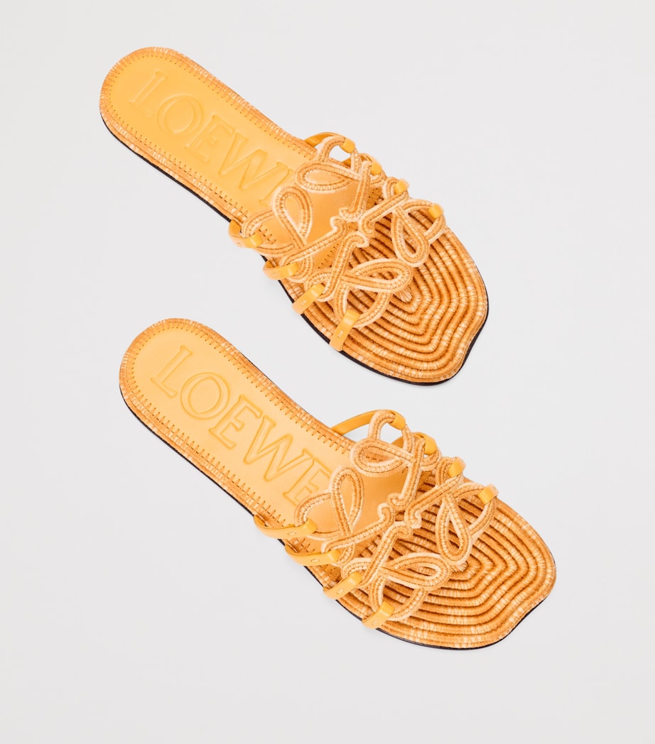 LOEWE x Paula's Ibiza Leather Embroidered Petal Anagram Slides Golden Yellow Image 3