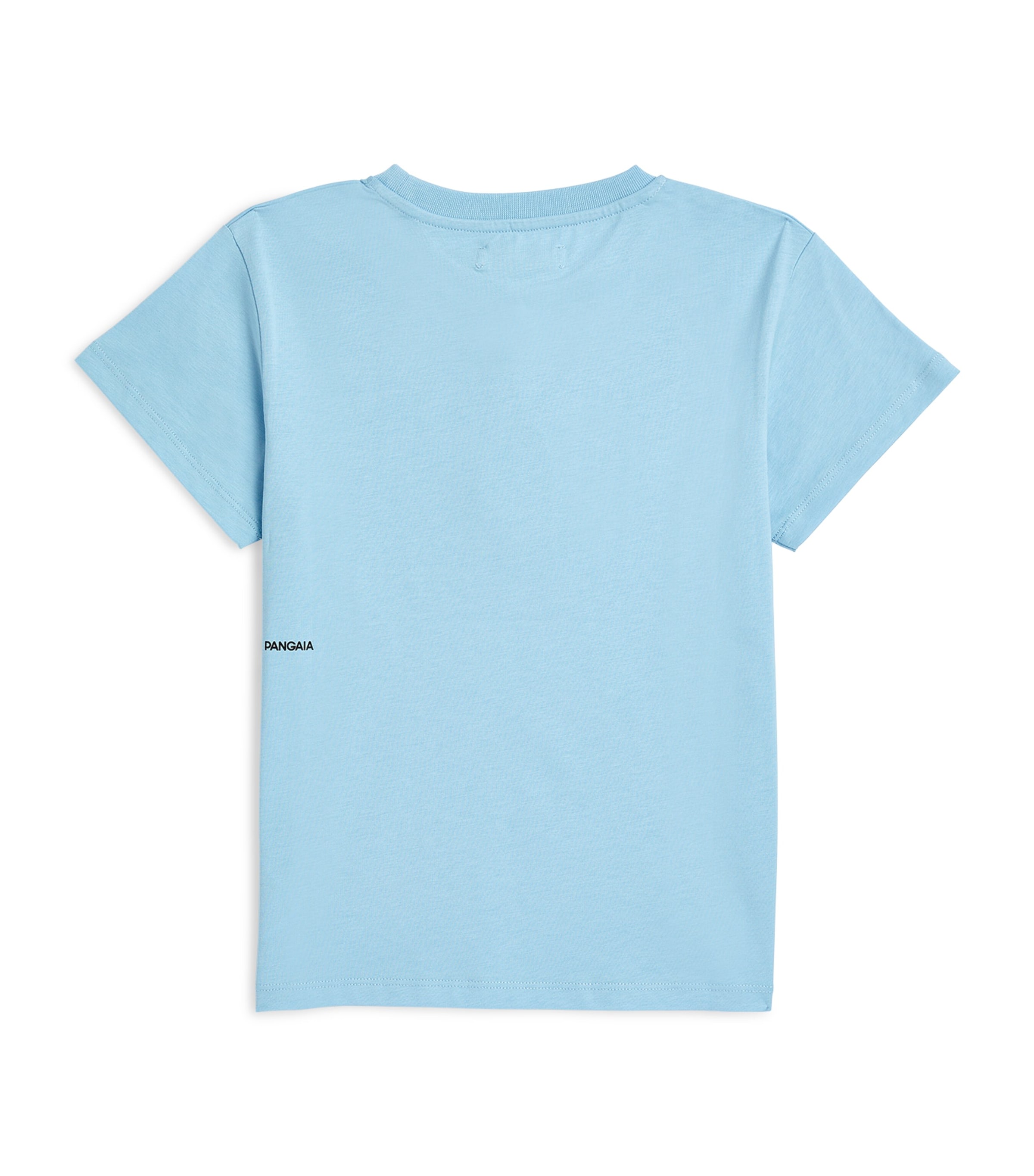 Organic Cotton Pprmint T-Shirt (3-11 Years) CELESTIAL BLUE Image 2